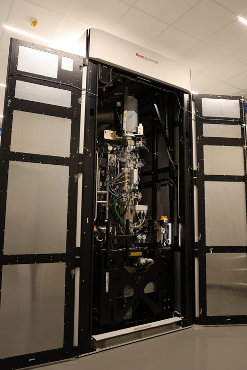ThermoFisher Spectra 300 S/TEM