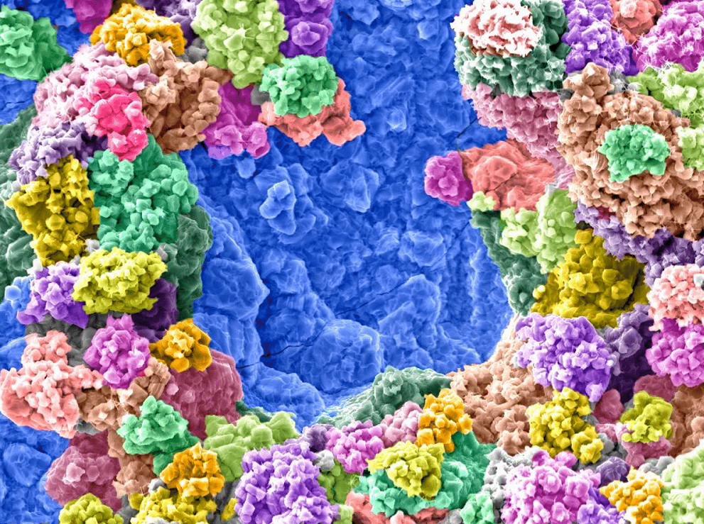 Seen at the nanometer size, this image captured by UA researchers shows a type of steel coated in zinc after a hot-tension test with the re-solidified zinc appearing like a coral reef.