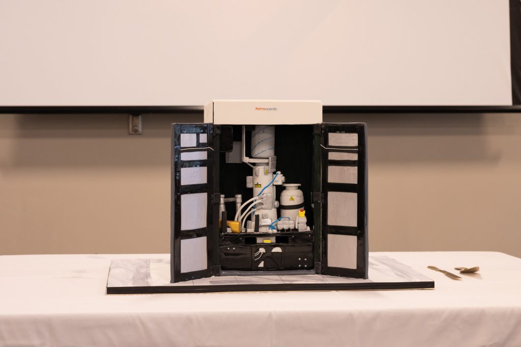 cake shaped like the spectra