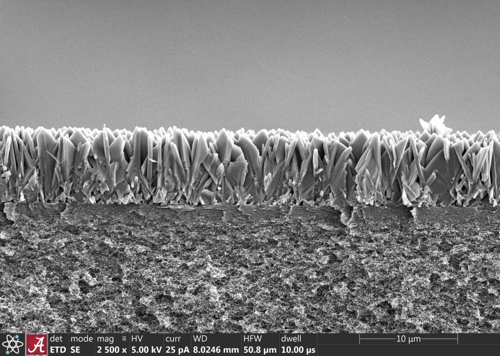 A microscope scan that shows smalls spiky crystals aligned in the middle of the frame.